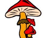 Desenho Cogumelos pintado por wrgd