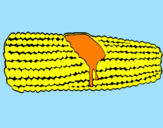 Desenho Espiga de milho  pintado por Gabrieli 