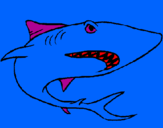 Desenho Tubarão pintado por vinicius