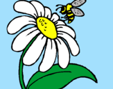 Desenho Margarida com abelha pintado por ines