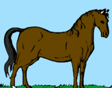 Desenho Cavalo andaluz pintado por Gabriele