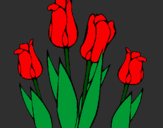 Desenho Tulipa pintado por Wik
