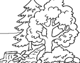 Desenho Bosque pintado por cintia