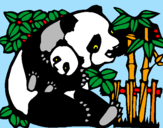 Desenho Mamã panda pintado por robson