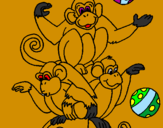 Desenho Macacos a fazer malabarismos pintado por miguel123