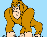 Desenho Gorila pintado por bruna braz haisng