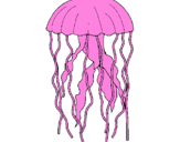 Desenho Medusa pintado por Zeinner