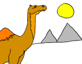 Desenho Camelo pintado por eheheh