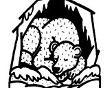 Desenho Urso a hibernar pintado por xana