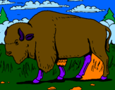 Desenho Búfalo pintado por sabryna