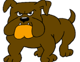 Desenho Cão Bulldog pintado por carolina serrano