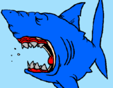 Desenho Tubarão pintado por Maurício