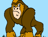 Desenho Gorila pintado por ALINE GP