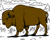 Desenho Búfalo pintado por bufalo