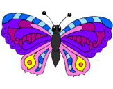 Desenho Borboleta pintado por borboleta mais colorida 