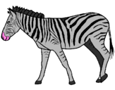 Desenho Zebra pintado por joão victor