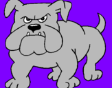 Desenho Cão Bulldog pintado por jessica