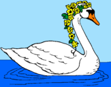 Desenho Cisne com flores pintado por rafita