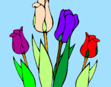 Desenho Tulipa pintado por andrezza