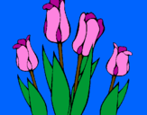 Desenho Tulipa pintado por luisa