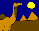 Desenho Camelo pintado por maria fer