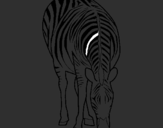 Desenho Zebra pintado por bruninhu 3 anos