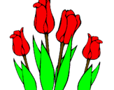 Desenho Tulipa pintado por wanessa