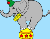 Desenho Elefante em cima de uma bola pintado por niccolas