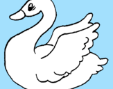 Desenho Cisne pintado por tamires