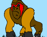 Desenho Gorila pintado por ciro