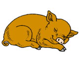 Desenho Porco a dormir pintado por gustavo