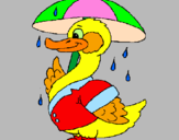 Desenho Pato sob a chuva pintado por daniel rito