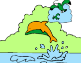 Desenho Golfinho e gaviota pintado por daiana
