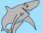 Desenho Tiburão alegre pintado por Tiago