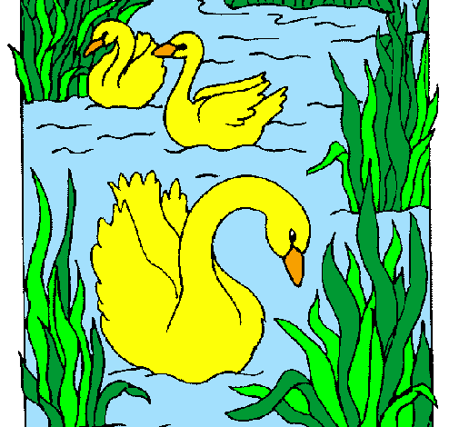 Desenho Cisnes pintado por patos