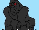 Desenho Gorila pintado por JEFF
