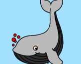 Desenho Pequena baleia pintado por joaquim neto