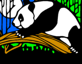 Desenho Urso panda a comer pintado por tata