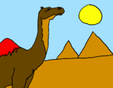 Desenho Camelo pintado por 8441a04l4e1x