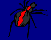 Desenho Aranha viúva negra pintado por Bibi