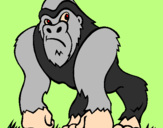 Desenho Gorila pintado por selva