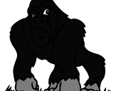 Desenho Gorila pintado por junior