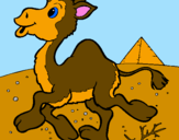 Desenho Camelo pintado por mara