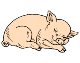 Desenho Porco a dormir pintado por GIY 