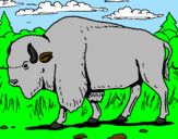 Desenho Búfalo pintado por gagu