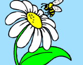 Desenho Margarida com abelha pintado por isadora