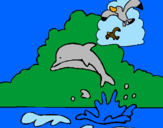 Desenho Golfinho e gaviota pintado por eslupe