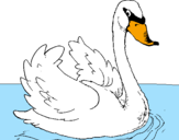 Desenho Cisne na água pintado por anónimo