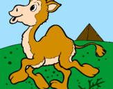 Desenho Camelo pintado por GABY