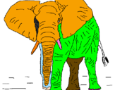 Desenho Elefante pintado por JOAO   VICTOR